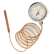 Blondelle Remote Thermometer